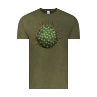 Vintage Olive Arizona Fishhook Cactus Vintage Tee - LillyAllenDesigns