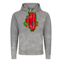 Illinois Watermelon Vintage Hoodie | Teevron