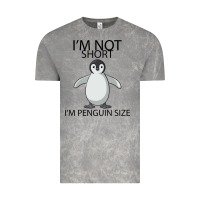 Cloud Rock I'm Not Short I'm Penguin Size Vintage Tee - Bettercallsaul