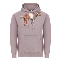 Vintage Zinc Nubian Goat Vintage Hoodie - LillyAllenDesigns