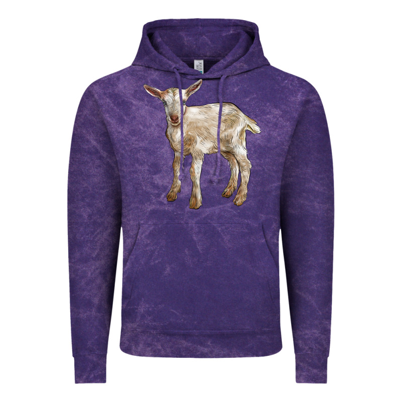 Baby Saanen Goat Vintage Hoodie by LillyAllenDesigns | Teevron