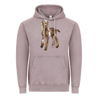 Vintage Zinc Baby Nubian Goat Vintage Hoodie - LillyAllenDesigns