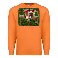 Carrot christmas donkeys Premium Sweatshirt - Jasminsmagicworld