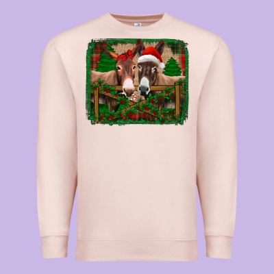 Christmas Donkeys Premium Sweatshirt Designed By Jasminsmagicworld