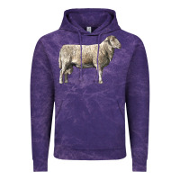 Cloud Purple katahdin sheep Vintage Hoodie - LillyAllenDesigns