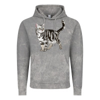 Cloud Rock American Shorthair Cat Vintage Hoodie - LillyAllenDesigns