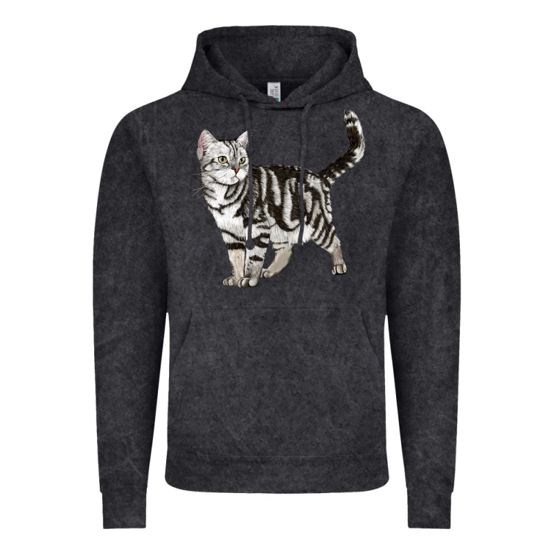American Shorthair Cat Vintage Hoodie by LillyAllenDesigns | Teevron