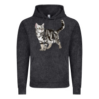Vintage Black American Shorthair Cat Vintage Hoodie - LillyAllenDesigns