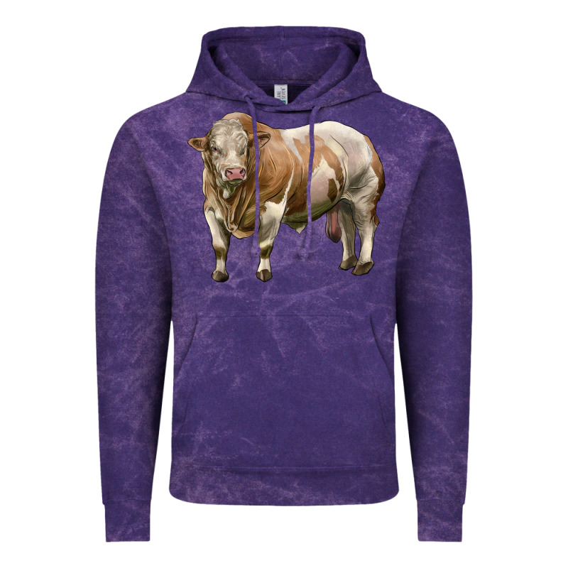 Simmental Bull Vintage Hoodie by LillyAllenDesigns | Teevron