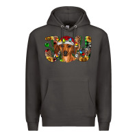 Smoke dachshund christmas joy Premium Hoodie - RanaPortraitStore