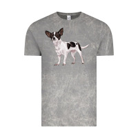 Cloud Rock chihuahua Vintage Tee - LillyAllenDesigns