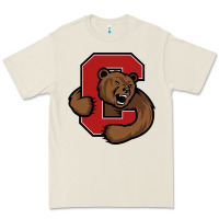 Bone The cornell big red Premium Tee - linhVisuals