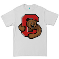 Dove Grey The cornell big red Premium Tee - linhVisuals