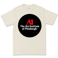 Art Institute Of Pittsburgh Premium Tee | Teevron