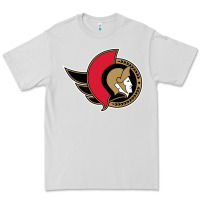 Dove Grey the senators Premium Tee - linhVisuals