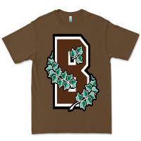 Cacao brown university Premium Tee - linhVisuals