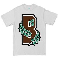 Dove Grey brown university Premium Tee - linhVisuals