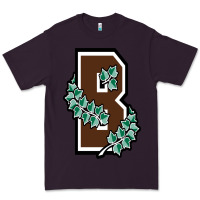 Plum brown university Premium Tee - linhVisuals