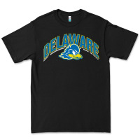 Delaware Sportss Premium Tee | Teevron