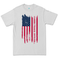 Dove Grey correctional officer shirts   correctional prison officer thin silver Premium Tee - linhVisuals