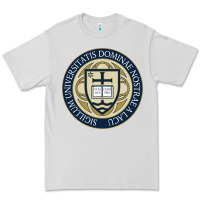 Dove Grey university dame Premium Tee - linhVisuals