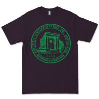 Plum upr at mayaguez Premium Tee - linhVisuals