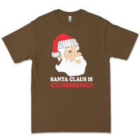 Cacao santa claus is cumming dirty humor Premium Tee - linhVisuals