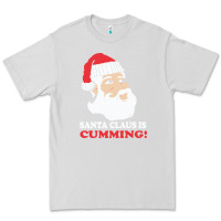 Dove Grey santa claus is cumming dirty humor Premium Tee - linhVisuals