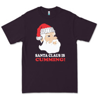 Plum santa claus is cumming dirty humor Premium Tee - linhVisuals