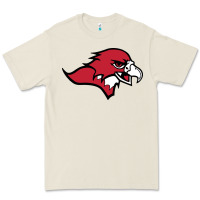 Benedictine, Mesa, College Premium Tee | Teevron