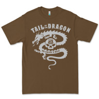 Tail Of The Dragon Premium Tee | Teevron