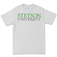 Dove Grey Stetson University Premium Tee - linhVisuals