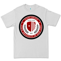 Dove Grey Stony Brook University Premium Tee - linhVisuals