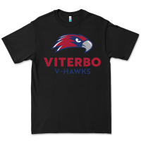 Black v-h4wks, viterbo, education Premium Tee - linhVisuals
