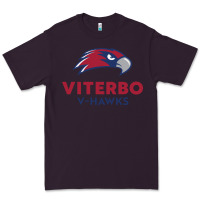 V-h4wks, Viterbo, Education Premium Tee | Teevron