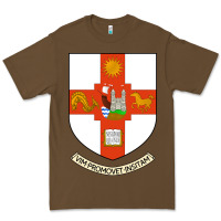 Cacao university bristol Premium Tee - linhVisuals