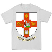 Dove Grey university bristol Premium Tee - linhVisuals