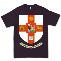 Plum university bristol Premium Tee - linhVisuals