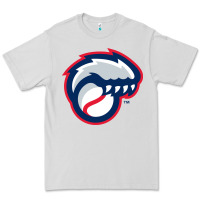 Dove Grey new hampshire fisher cats Premium Tee - linhVisuals