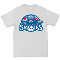 Dove Grey tennessee smokies Premium Tee - linhVisuals