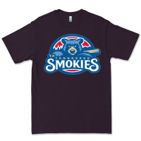 Plum tennessee smokies Premium Tee - linhVisuals