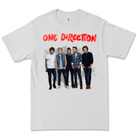 Dove Grey one direction watercolor [tw] Premium Tee - linhVisuals