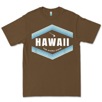 Cacao hawaii the aloha state   aloha hawaiian from the islands!! t shirt Premium Tee - linhVisuals