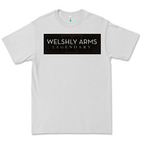 Dove Grey welshly arms 005 Premium Tee - linhVisuals