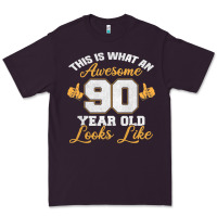 Plum 90th birthday novelty gift awesome 90 year old t shirt Premium Tee - linhVisuals