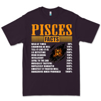Plum pisces facts t shirt pisces birthday gifts Premium Tee - linhVisuals