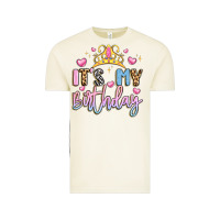 Vintage Arctic its my birthday la Vintage Tee - LillyAllenDesigns