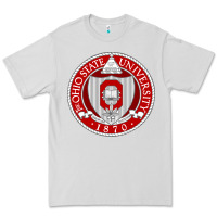 Dove Grey OSU, Columbus, university gear Premium Tee - linhVisuals
