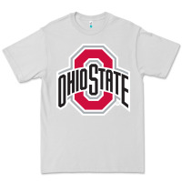 Dove Grey OSU, athletics gear Premium Tee - linhVisuals