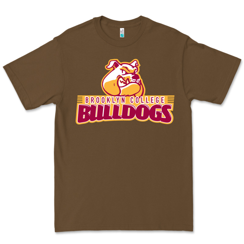 Brooklyn College Premium Tee by linhVisuals | Teevron